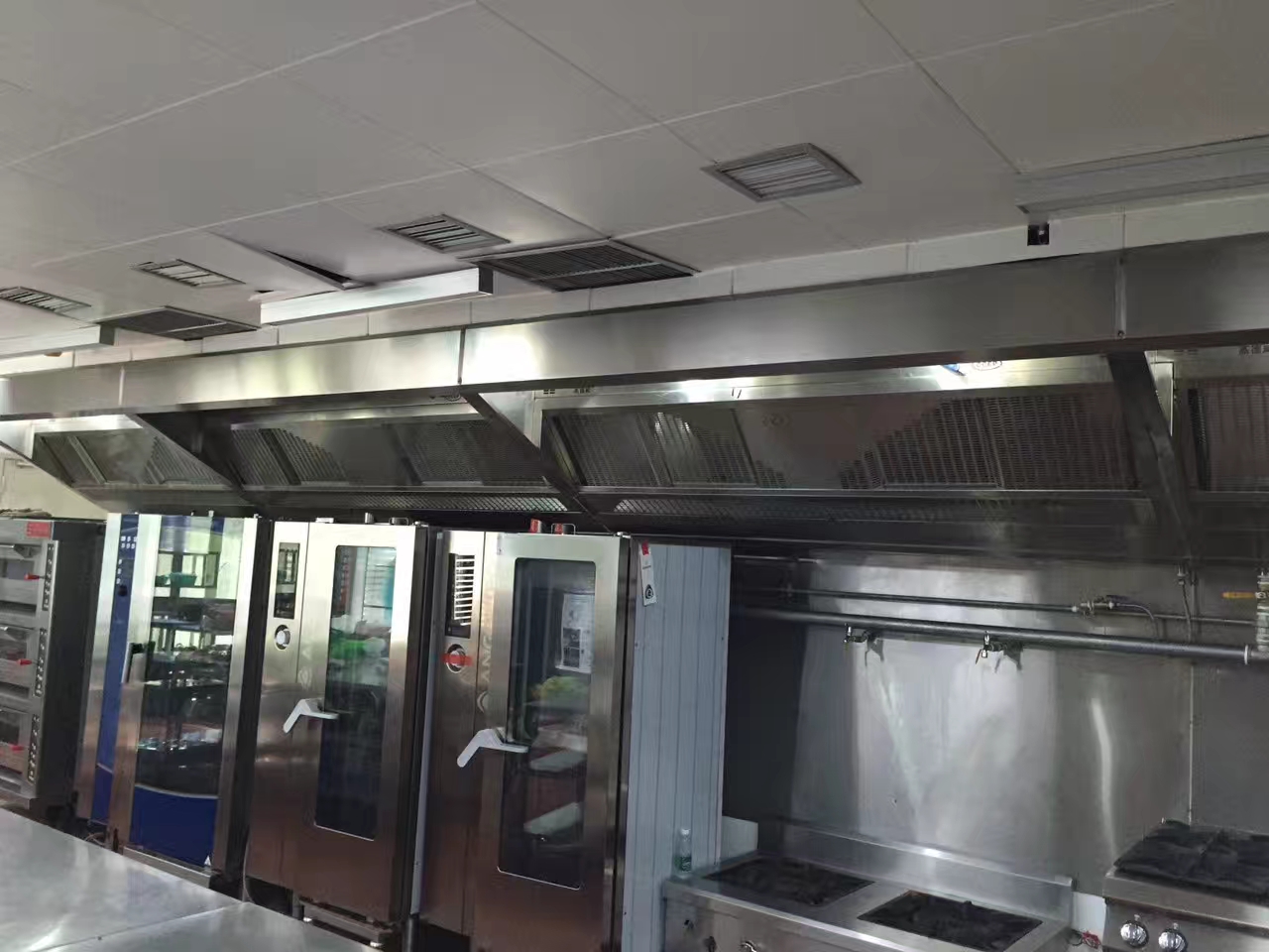 ���������Ƶ����������