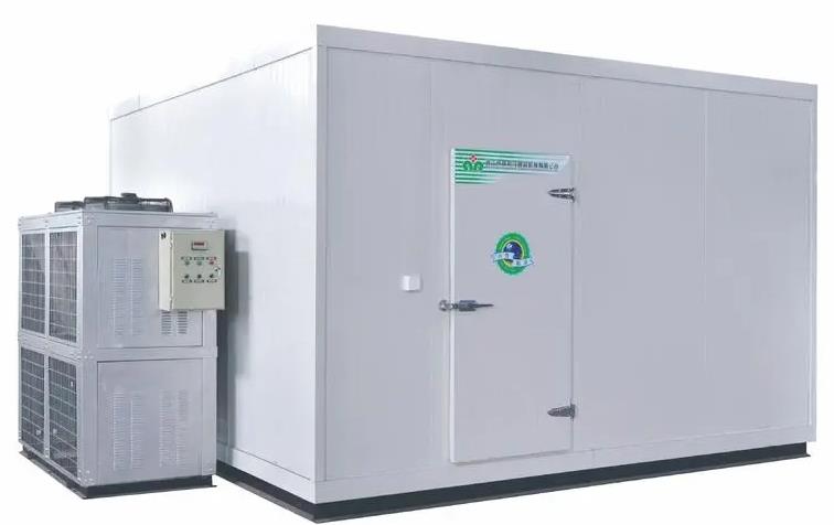 �ߵ������